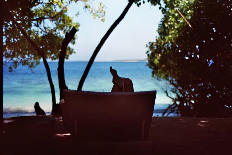 Analog photograph of a quiet moment