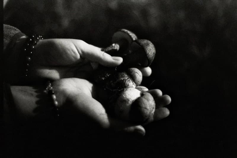 Hands holding chestnuts in black and white